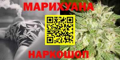 гидра Славгород
