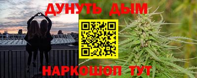 гидра Славгород