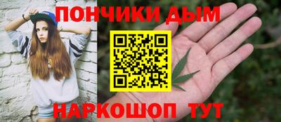 гидра Славгород