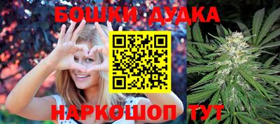 гидра Славгород
