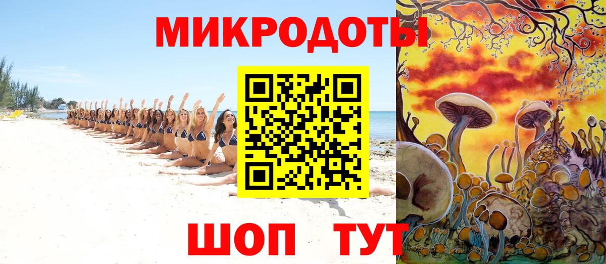 Псилоцибиновые грибы Psilocybine cubensis  Псилоцибиновые грибы прущие грибы  Тобольск  Вход с VPN 
